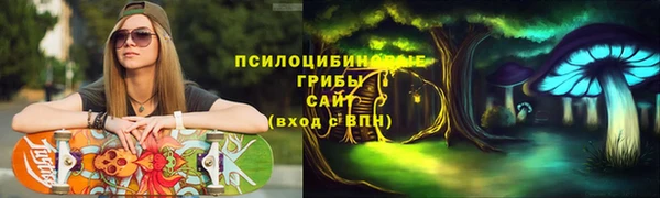 амфетамин Новодвинск