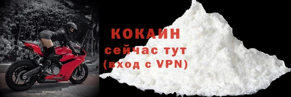 амф Новозыбков