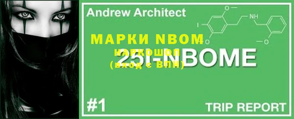 амф Новозыбков