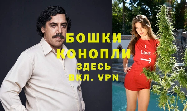 амфетамин Новодвинск