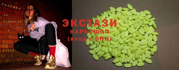 амф Новозыбков